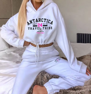 Antarctica Sweatshirt Swag