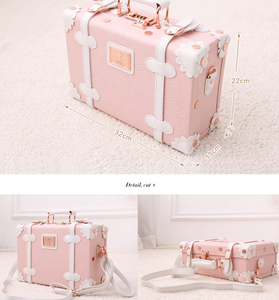 2 Piece Vintage Luggage Set